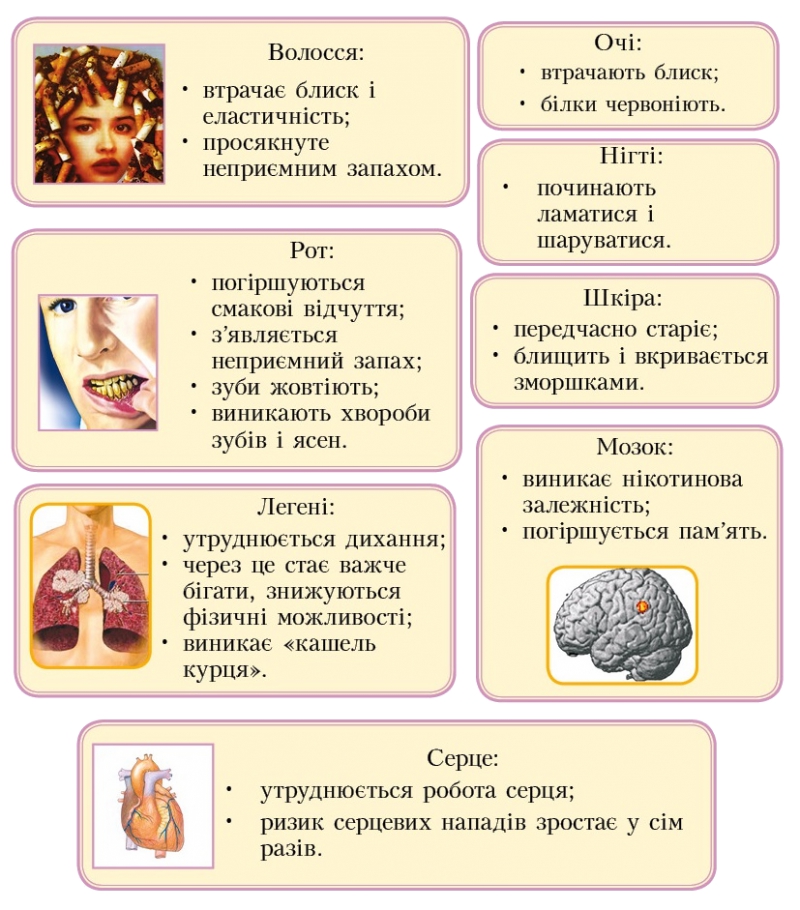 Шкідливість тютюнопаління