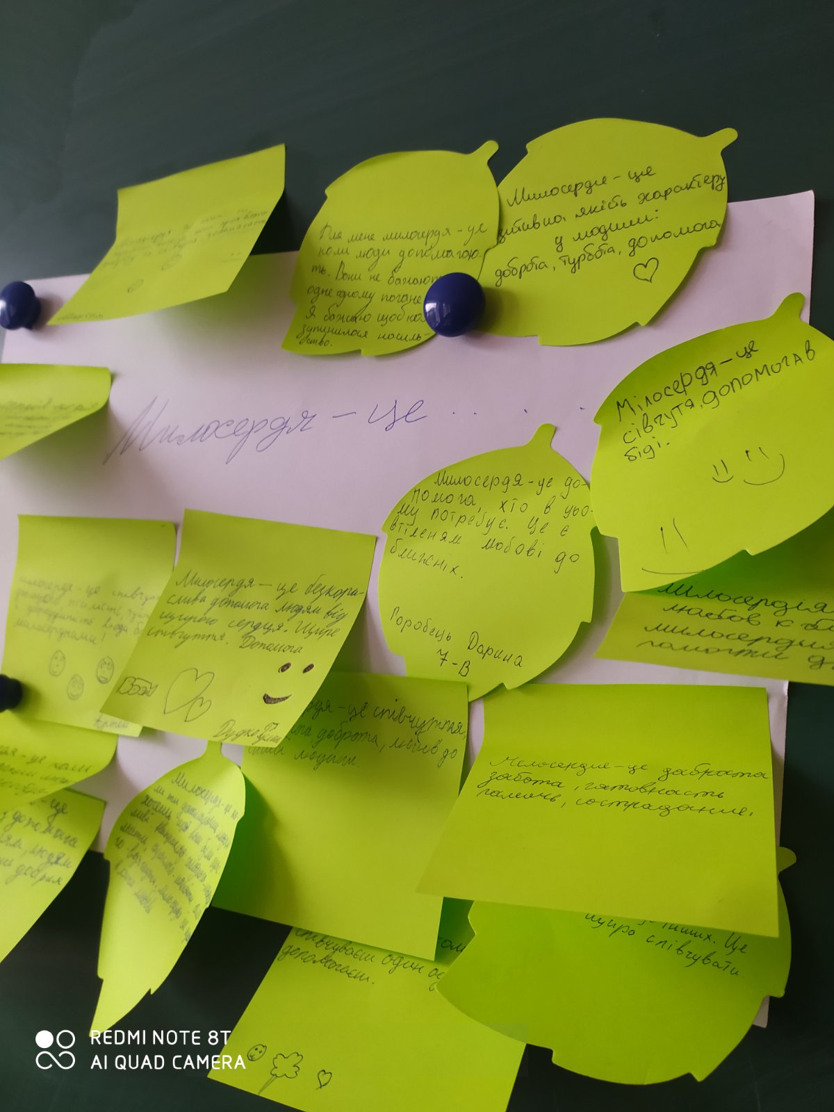 IMG b2d5ba1f87dd581cbf594f6ec4642500 V